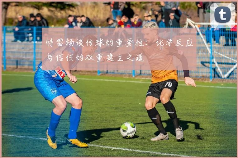 特雷杨谈传球的重要性：化学反应与信任的双重建立之道