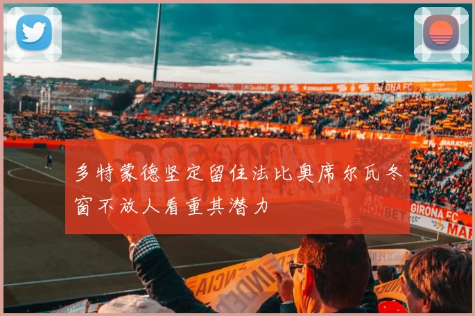 多特蒙德坚定留住法比奥席尔瓦冬窗不放人看重其潜力